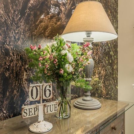 B&B L'Ulivo Фьюмичино Экстерьер фото